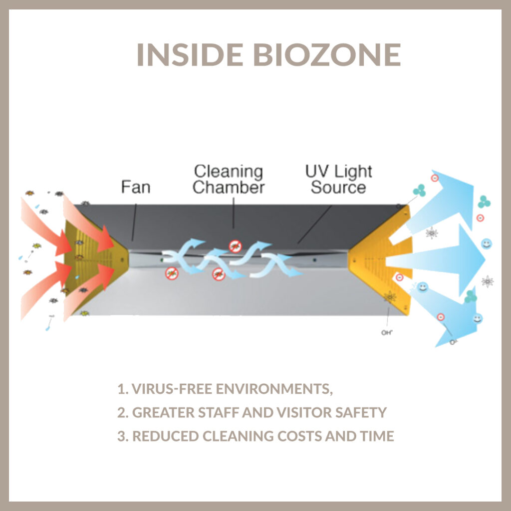 Inside_biozone