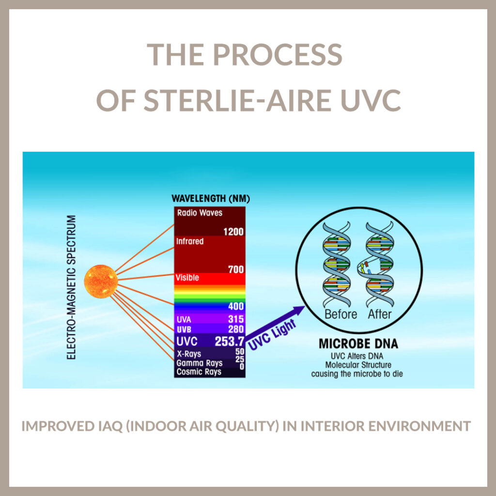 Process_sterilAire