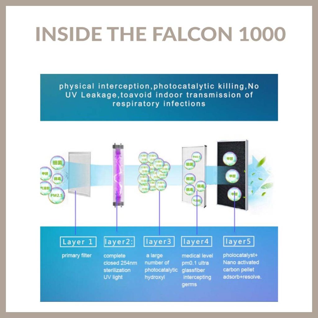 falcon_inside